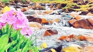 3118,status,status video,status song,status whatsap,beast song,good song,video,natural