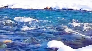 3119,status,status video,status song,status whatsap,beast song,good song,video,natural