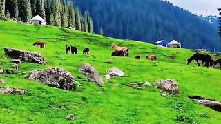 3120,status,status video,status song,status whatsap,beast song,good song,video,natural