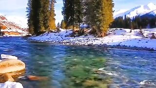 3121,status,status video,status song,status whatsap,beast song,good song,video,natural 2