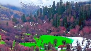 3123,status,status video,status song,status whatsap,beast song,good song,video,natural