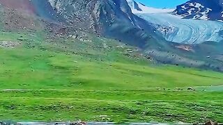 3124,status,status video,status song,status whatsap,beast song,good song,video,natural