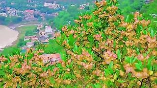 3128,status,status video,status song,status whatsap,beast song,good song,video,natural