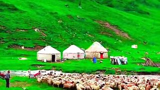 3130,status,status video,status song,status whatsap,beast song,good song,video,natural
