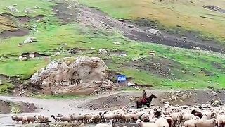 3133,status,status video,status song,status whatsap,beast song,good song,video,natural