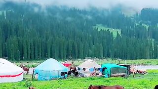 3135,status,status video,status song,status whatsap,beast song,good song,video,natural