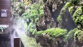 Aquarium life 2