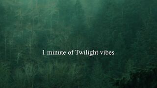 Pure twilight mood in the pnw