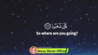 Beautiful quran recitation 7