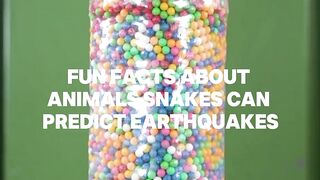 Fun facts 2