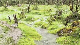 The sound of river water accompanied by drizzling rain in the morning.