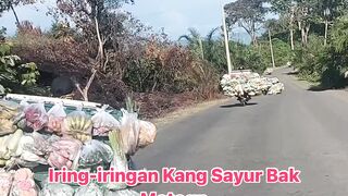 The motorcade of vegetable sellers in the morning is like a GP motorbike race.