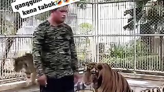 A zookeeper who tries to cheer up a boring time tiger