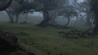 Moody day