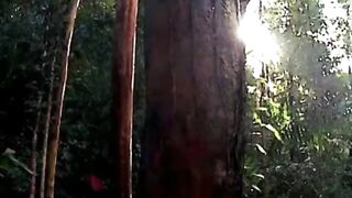 permainan alat musik sape dayak