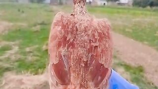 Look at this ll beautiful bird