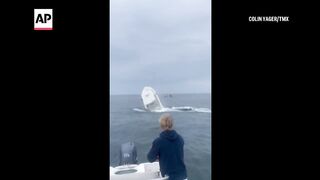 WATCH_ Whale capsizes fishing boat off New Hampshire coast.