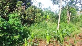 Lahan baru untuk membuat kolam