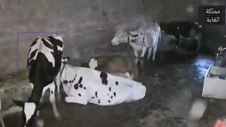حاسد اور منافق دوستوں سے بچیں