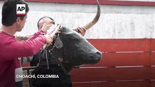 Colombia bans bullfighting as bullfighters vow to keep tradition alive.