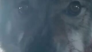 #teenwolf.