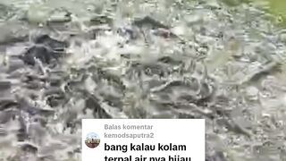 Jangan nunggu air kolam bau untuk melakukan pergantian