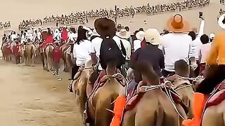 Japan_Unique_Wedding_#shorts(480p).