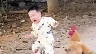 Login INIBET Situs Gacor Terpercaya