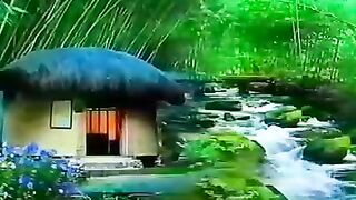 Islaamic video 8
