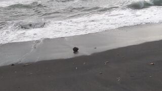 Beach 21
