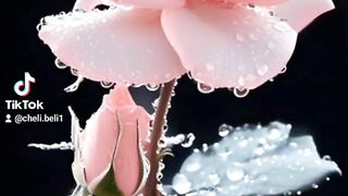 Allah her chiez par qader ha