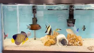 Fish tank 5
