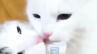 0001.