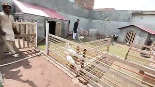 Ye Achank Orix Ko Kiya Hogea????Zibha Krna Pra