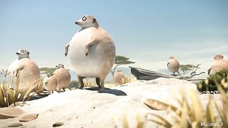 ROLLIN' SAFARI - 'Meerkats' - what if animals were round.