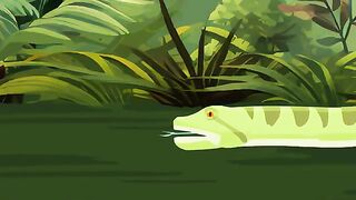 Water Buffalo vs Tiger Jungle Fight Club [S1] Animal Animation.