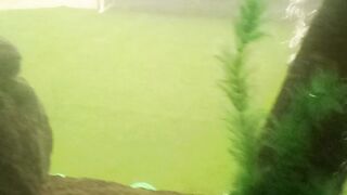 My fishie