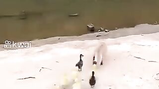 Best friendship 2