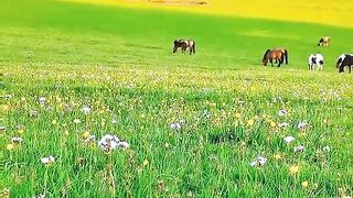 287,status,status video,status song,status whatsap,beast song,good song,video,