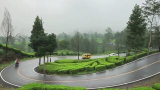 The beautiful view from the top of the hill while looking at the cars passing by on the road.