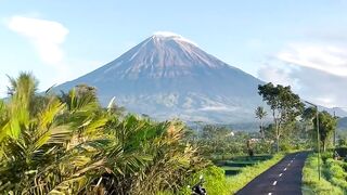 Walk around in the morning while enjoying the beautiful views of Mount Merapi.