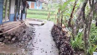 Walking around the village accompanied by drizzling rain.