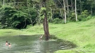 Children bathe in the river while herding buffalo.