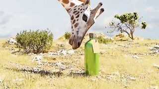 Elephant vs Giraffe Water Bottle Fight.