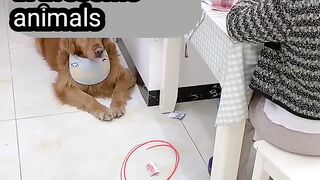 #awesome_animals