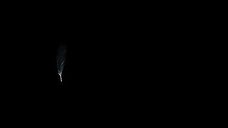The Raven (2021) - A Vikings Short Film