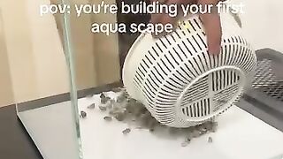 Aquarium life 4