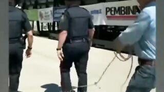Respect 425