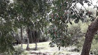 Nature 5 3