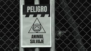 Mαdrαstrα botó a esta hijastrα en un zoológico para que su pαrεjα no dεscubrα la vεrdαd.